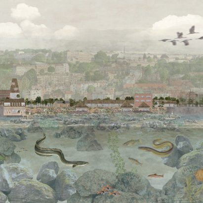 Proposal tackling European eel decline among projects from University of Nottingham