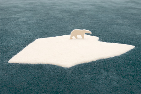 Global Warming Rug By Nel For, How Much Is A Real Polar Bear Rug Worth
