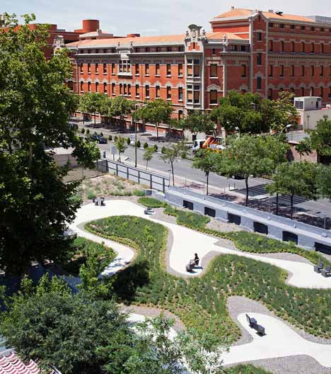 Garden in Madrid by Estudio Caballero Colón