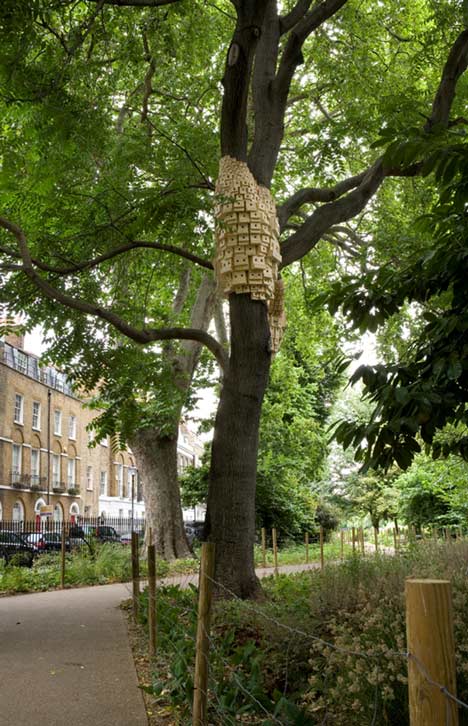Spontaneous City in the tree of heaven by London Fieldworks