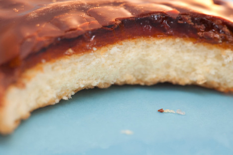 I nibbled Britain out of Jaffa Cakes by Dominic Wilcox
