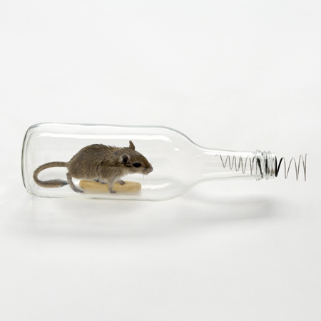 Designed In Hackney Non-lethal Mousetrapsby Roger Arquer Dezeen