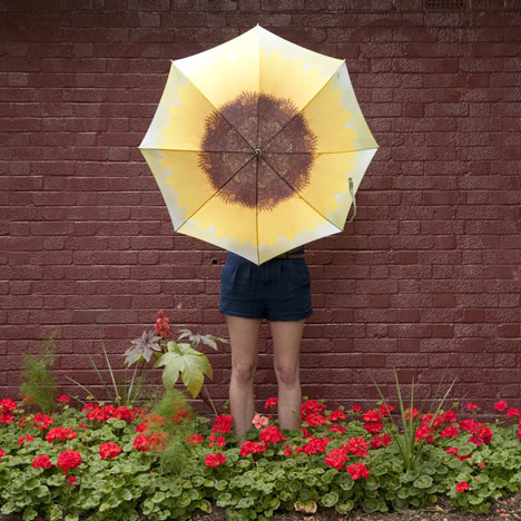 Umbrellas by Ella Doran