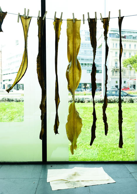Kelp lampshades by Julia Lohmann