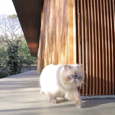 Movie: Toblerone House by Studio MK27 through the eyes of a cat
