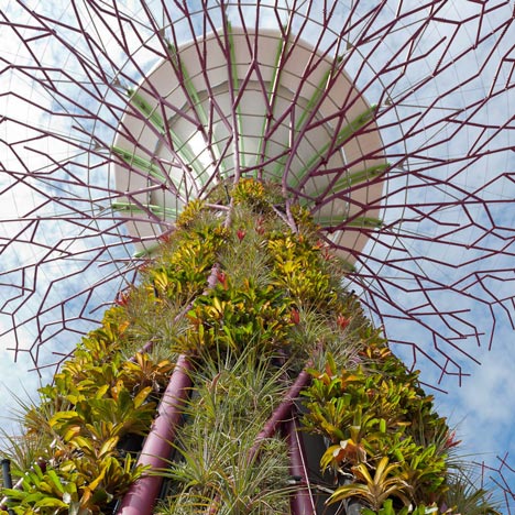 "We wanted real drama in a flat landscape" - Paul Baker on Gardens by the Bay