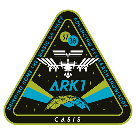 Shepard Fairey designs badge for International Space Station