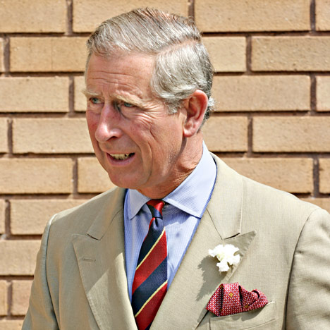 Prince Charles, photo by Mark William Penny, Shutterstock