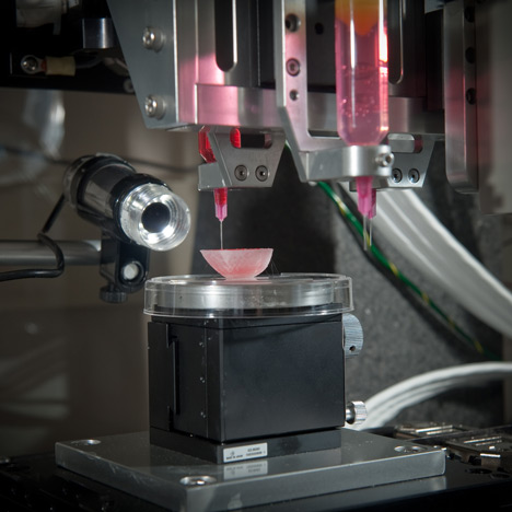 "One day it will be possible to 3D-print a human liver"