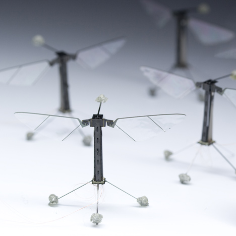 Tiny robotic insect takes flight