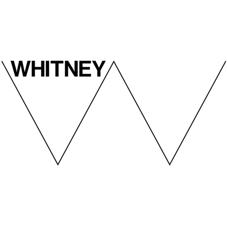 Whitney Graphic Identity by Experimental Jetset