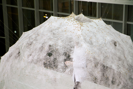 Silk pavilion completed by MIT researchers