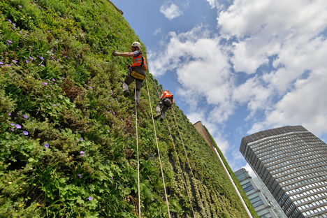 London's largest living wall designed to reduce urban flooding.