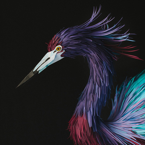 Paper birds by Diana Beltran Herrera