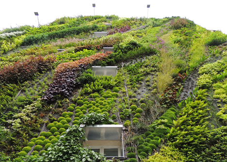 The Oasis of Aboukir green wall by Patrick Blanc