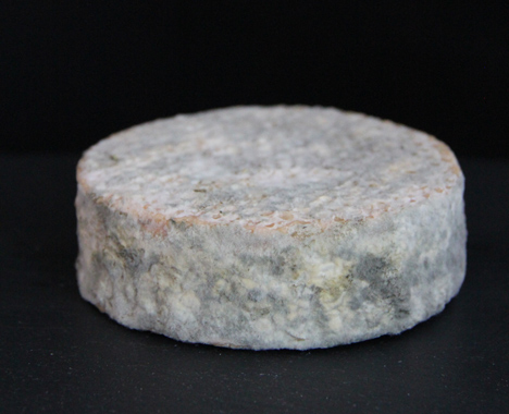 Cheeses made with human bacteria recreate the smell of armpits or feet
