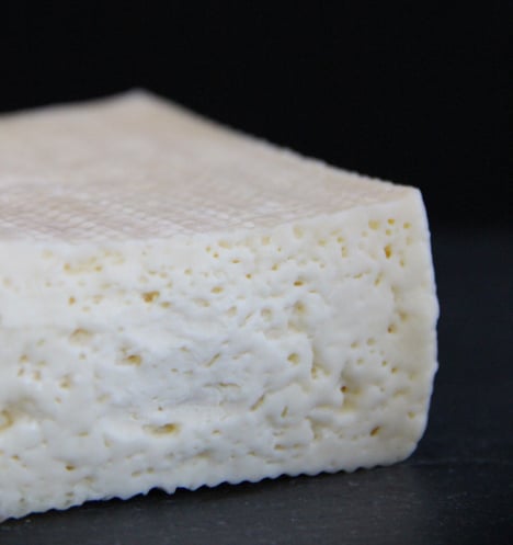 Olafur Eliasson's tears used to make human cheese
