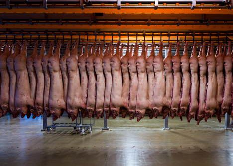 Danish Crown Slaughterhouse photography by Alastair Philip Wiper