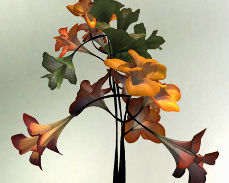 Digital flower animation by Daniel Brown based on exhibits at Dundee museum
