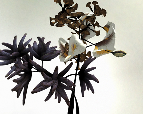 Digital flower animation by Daniel Brown based on exhibits at Dundee museum
