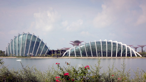 Gardens by the Bay by Wilkinson Eyre in Singapore