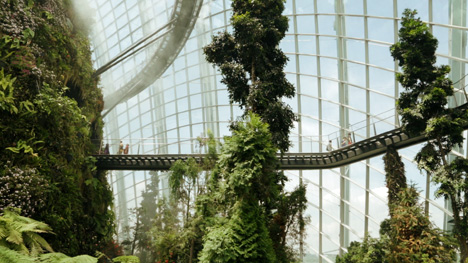 Gardens by the Bay by Wilkinson Eyre in Singapore