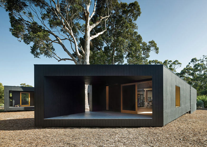 Karri Loop House By Morq Fits Around Three Indigenous Australian Trees