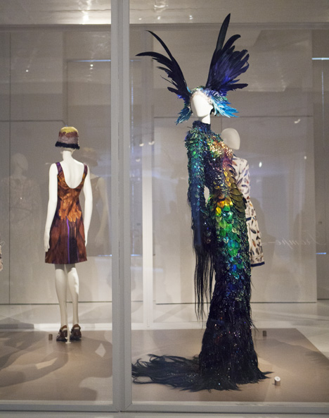 Feathers and plumage in fashion celebrated at Antwerp exhibition