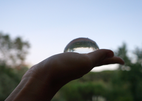 Edible water bottle uses algae to create biodegradable alternative to plastic containers