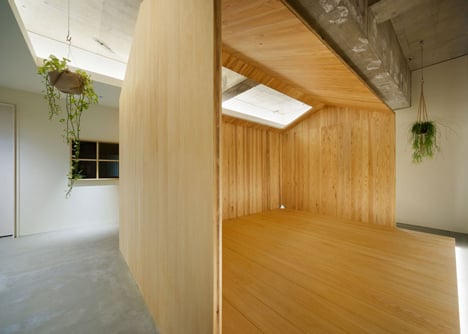 Garden-like office interior by Tsubasa Iwahashi boasts hanging baskets and a wooden shed