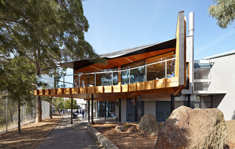 Timber-clad school library extended into the tree tops by Branch Studio Architects