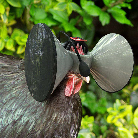 Virtual reality headsets create "pastoral" illusion for battery-farmed chickens