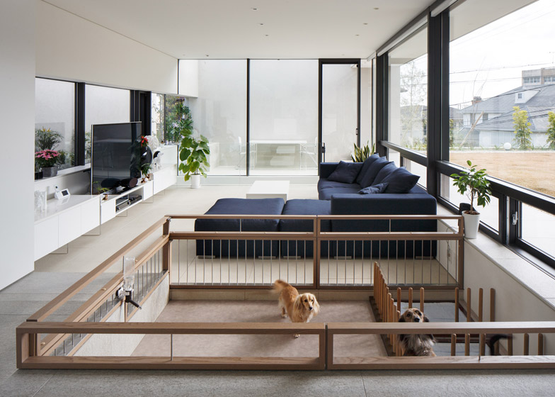 dogs installed within Soichi 