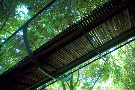 The Boomslang canopy walkway by Mark Thomas and Henry Fagan