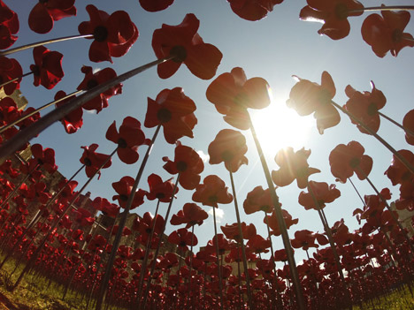 Blood Swept Lands and Seas of Red poppies installation at the Tower of London