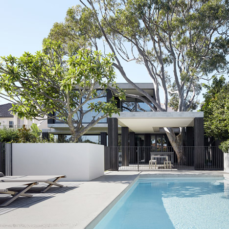 B.E. Architecture designs Sydney house extension around mature gum tree