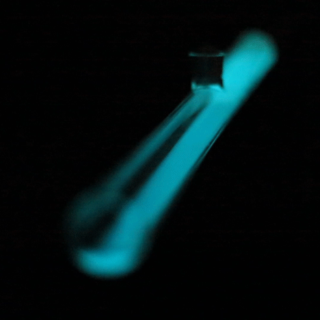 Bioluminescent lamp by Teresa van Dongen