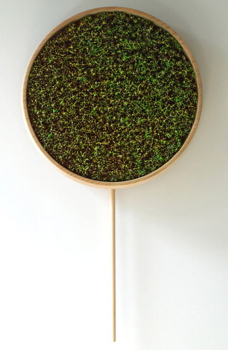 Coniferous Clock by Bril