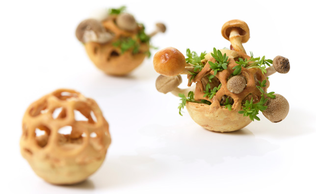 Edible Growth 3D-printed food by Chloé Rutzerveld