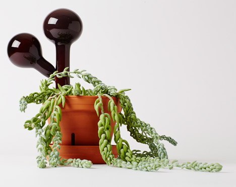 Indoor Gardening Project by Anderssen & Voll for Mjölk