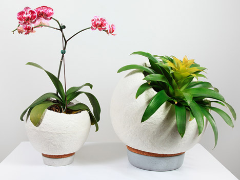 Mush-Bloom pots by Danielle Trofe using Mushroom Materials