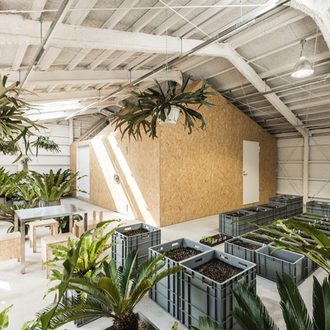 Schemata Architects converts Tokyo factory into artist's studio with an indoor garden
