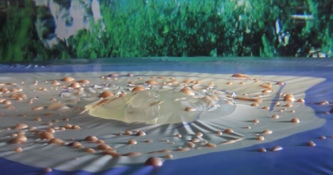 Waterballet - Shortcutz music video shot in a fishbowl