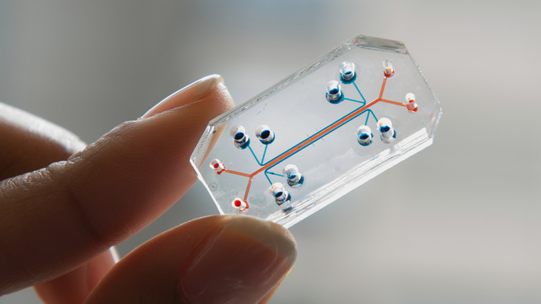 Organs-on-Chips by the Wyss Institute for Biologically Inspired Engineering