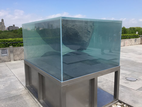 Roof Garden Installation by Pierre Huyghe at the Metropolitan Museum
