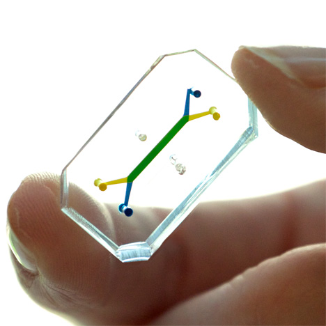 Human Organs-on-Chips by the Wyss Institutue, Harvard University