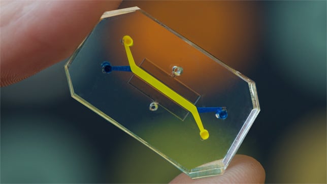 Human Organs-on-Chips by the Wyss Institutue, Harvard University