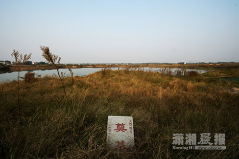 Sky City Changsha plot repurposed as a fish farm