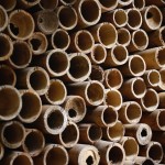 Bamboo fibre is stronger and cheaper than steel, says Dirk Hebel