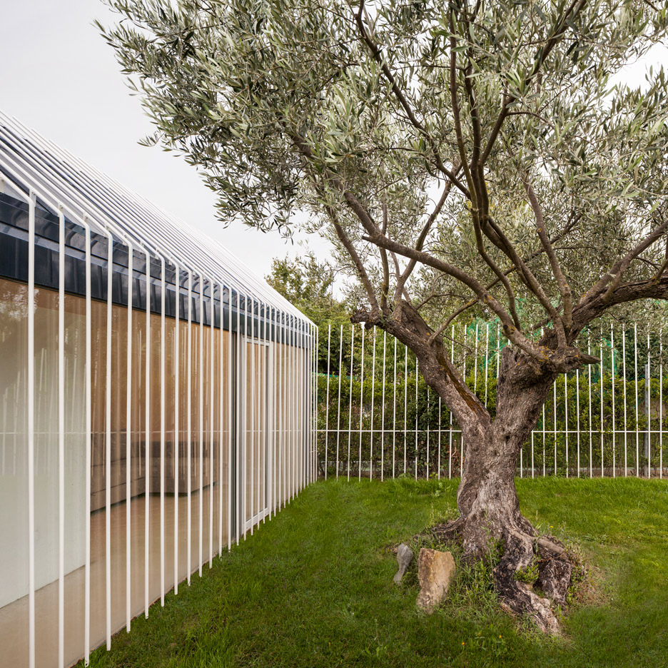 House for a man and a tree by Taller Basico